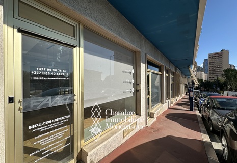 VENTE MUR TROCADERO