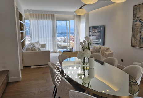 DUPLEX PENTHOUSE DE 7 PIECES AVEC TERRASSE SUR LE TOIT ET PISCINE PRIVEE
