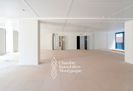 FONTVIEILLE - BUREAUX - ÉTAGES ÉLEVÉS