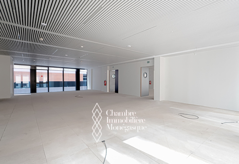FONTVIEILLE - OFFICES - HIGH FLOOR