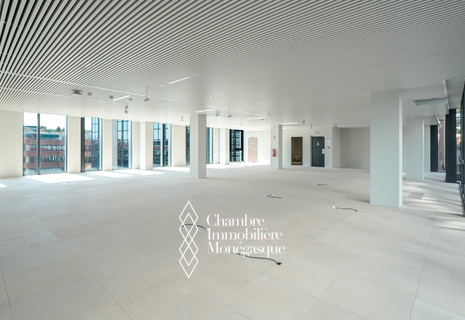 FONTVIEILLE - OFFICES - LUXURY RESIDENCE