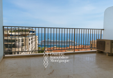 Large Studio located in the heart of the Carre' d'Or