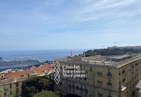 Large Studio located in the heart of the Carre' d'Or