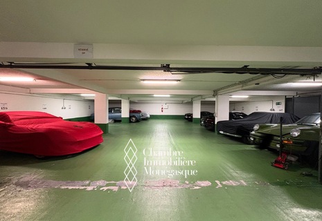 The Sun Tower - Carrée d'Or - lot of 12 car parks
