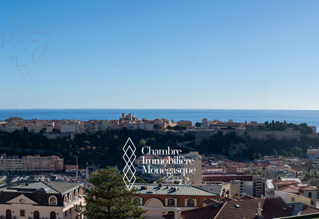 MAGNIFICO ATTICO DUPLEX AMMOBILIATO IN UN EDIFICIO DI RECENTE COSTRUZIONE