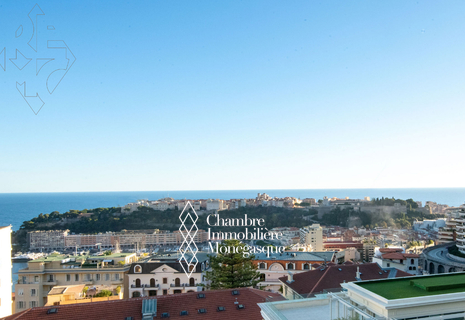 DUPLEX PENTHOUSE - MAGNIFIQUE APPARTEMENT DE MAITRE MEUBLÉ DANS UN BEL IMMEUBLE RÉCENT