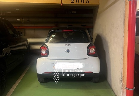 Parking PSR