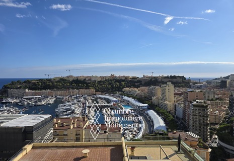 Rose de France-Grand 3 pièces traversant - avec superbe vue sur le port