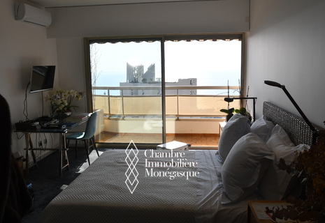 Bright studio apartment for sale in Les Ligures