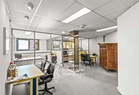 Monte Carlo Sun: Bureaux en très bon état