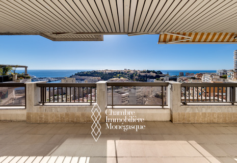 Superbe appartement lumineux