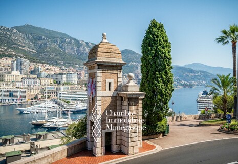 MONACO VILLE  - Coquet 2 Pièces - Sous loi 1235