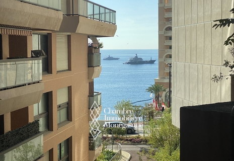 MONTE CARLO SUN: OFFICE