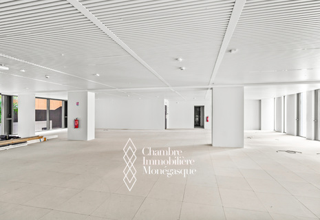 Fontvieille: Bureaux entièrement renovés