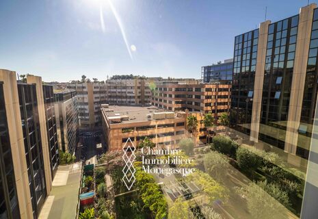 Fontvieille: Bureaux entièrement renovés