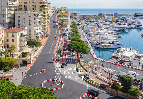 MONACO HARBOUR - 3-BEDROOM FLAT - SEA & F1 VIEWS