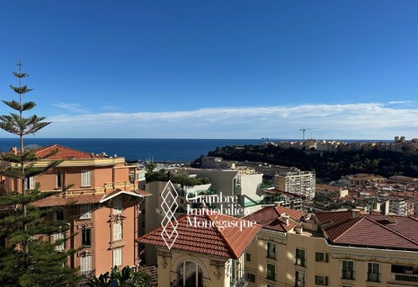 PALAIS BOSIO: BOURGEOIS - VISTA PANORAMICA - RISTRUTTURATO