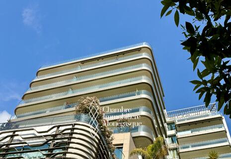 LARGE PARKING SPACE | RUE GRIMALDI | 45G