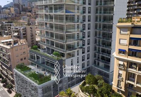 LARGE PARKING SPACE | RUE GRIMALDI | 45G