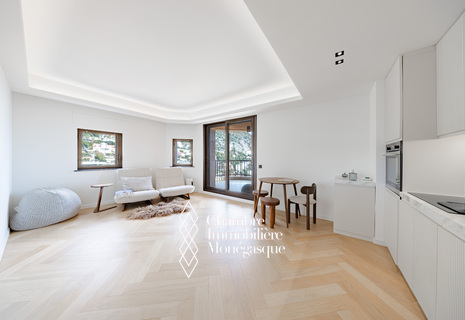 MAGNIFIQUE 2 PIECES VUE MER RENOVE