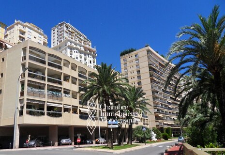 Le San Juan - Boulevard du Larvotto