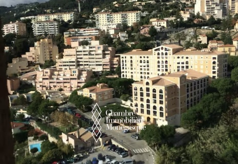 Affitto Monolocale di Charme Parc Saint Roman