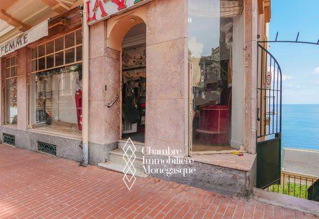 BOULEVARD D'ITALIE - PARETI COMMERCIALI CON FINESTRA