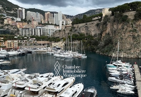 FONTVIEILLE - AMPIO E GRADEVOLE BILOCALE