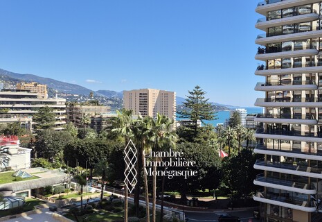 Park Palace - Spacieux 2 Pièces en cours de rénovation