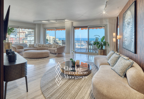 LE PANORAMA - MAGNIFICENT 3 BEDROOMS - MASTER APARTMENT