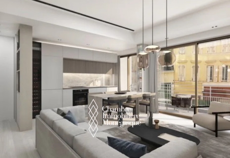 Renovated 3-room apartment - Condamine - Glimpse views of F1 Circuit