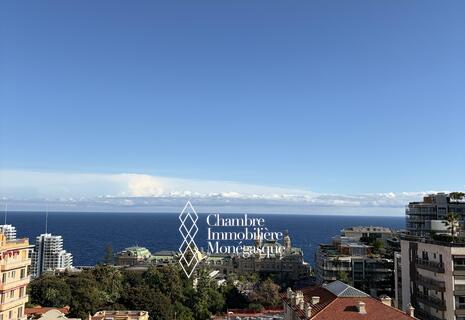 2-BEDROOM APARTMENT – RIVIERA PALACE, MONTE-CARLO