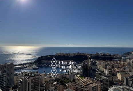 Luxueux 2 pièces avec vue exceptionnelle