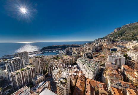 Appartement de 2 pièces rénové avec vue panoramique