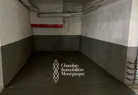 Location parking Monte Carlo View