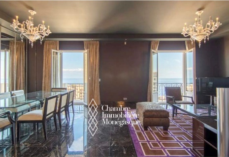 FORMIDABLE PENTHOUSE - ADRESSE IDÉALE !