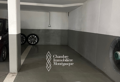 Location parking Monte Carlo View