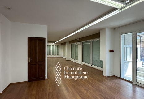 ESPACE PROFESSIONNEL DE BUREAU/CORPORATIF - LOCATION