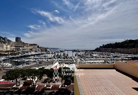 2 Pièces avec Vue Panoramique - Port Hercule