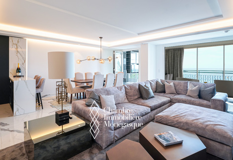 FONTVIEILLE - 3 BEDROOM FLAT & SEA VIEW