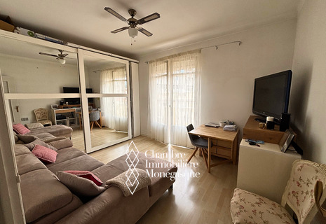 APPARTEMENT 2 PIECES / IMMEUBLE LE MASSENA