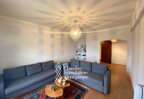 APPARTEMENT 2 PIECES - DERNIER ETAGE / IMMEUBLE LE MASSENA