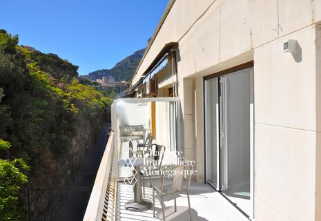 2 pièces sur le port de Monaco