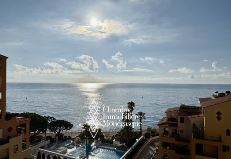 Magnifique vue mer pour ce charmant deux pièces !