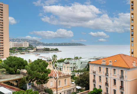 Superbe appartement de 4 pièces rénové avec vue mer