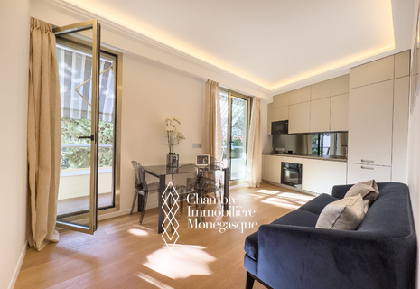 ENTIEREMENT MEUBLE - BEL HORIZON -  CHARMANT 3 PIECES