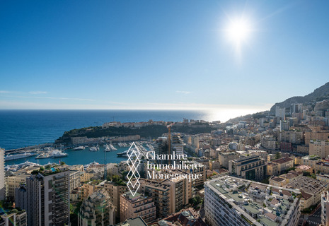 MILLEFIORI - Monte Carlo - 2 Pièces Rénové - Vue Mer Panoramique