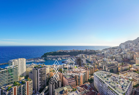 MILLEFIORI - 2 PIÈCES - VUE PANORAMIQUE MER ET MONACO