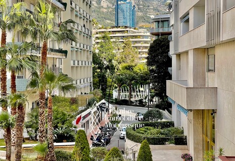 CARREÉ D'OR  | PALAIS DE LA SCALA | STUDIO WITH MEZZANINE FLOOR