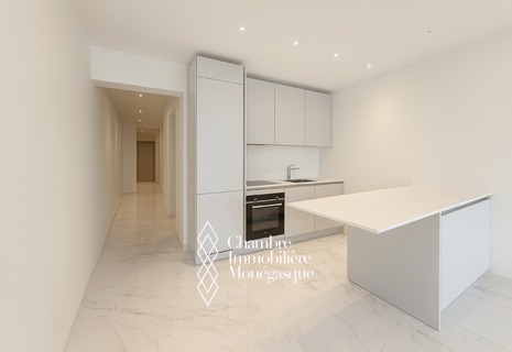 3 pièces lumineux et entièrement rénové